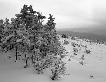 Dyatlov Pass